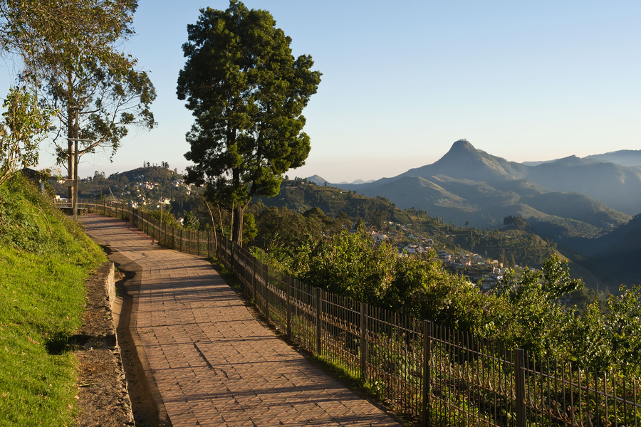 Luxury Glamping in Kodaikanal